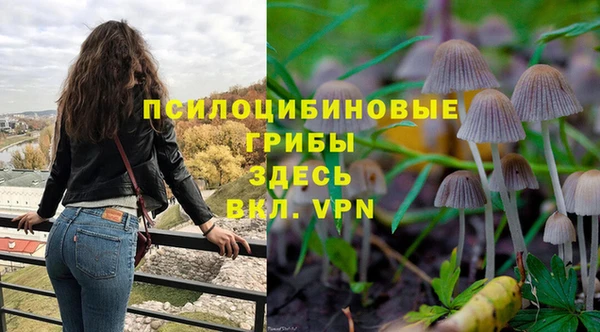 ешки Беломорск