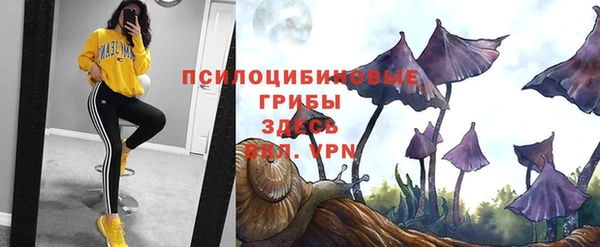 MDMA Premium VHQ Белокуриха